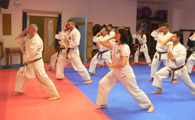 Seminář karate dó a sebeobrany Go Shin Jutsu v J. Hradci 17.11.2018 Seminář karate dó a sebeobrany Go Shin Jutsu v J. Hradci 17.11.2018