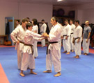 Seminář karate dó a sebeobrany Go Shin Jutsu v J. Hradci 17.11.2018 Seminář karate dó a sebeobrany Go Shin Jutsu v J. Hradci 17.11.2018