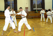 Sobotní seminář dětské sebeobrany a Goju ryu Kata Sobotní seminář dětské sebeobrany a Goju ryu Kata