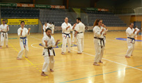 Sobotní seminář Hojo undo a Kata a bunkai Goju ryu Sobotní seminář Hojo undo a Kata a bunkai Goju ryu