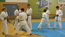 Sobotní seminář Hojo undo a Kata a bunkai Goju ryu Sobotní seminář Hojo undo a Kata a bunkai Goju ryu