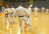 Sobotní seminář Hojo undo a Kata a bunkai Goju ryu Sobotní seminář Hojo undo a Kata a bunkai Goju ryu