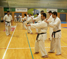 Sobotní seminář Hojo undo a Kata a bunkai Goju ryu Sobotní seminář Hojo undo a Kata a bunkai Goju ryu