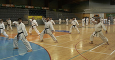 Sobotní seminář Hojo undo a Kata a bunkai Goju ryu Sobotní seminář Hojo undo a Kata a bunkai Goju ryu