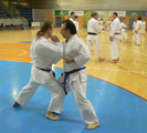 Sobotní seminář Hojo undo a Kata a bunkai Goju ryu Sobotní seminář Hojo undo a Kata a bunkai Goju ryu
