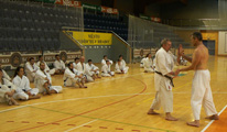 Sobotní seminář Hojo undo a Kata a bunkai Goju ryu Sobotní seminář Hojo undo a Kata a bunkai Goju ryu