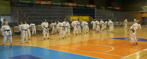 Sobotní seminář Hojo undo a Kata a bunkai Goju ryu Sobotní seminář Hojo undo a Kata a bunkai Goju ryu