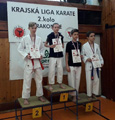Sportovní úspěchy členů našeho Dojo Sportovní úspěchy členů našeho Dojo