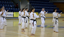 Seminář Budo Goshinjutsu v Jindřichově Hradci