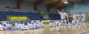 Seminář Budo Goshinjutsu v Jindřichově Hradci