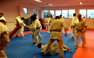 Seminář  kata  Sepai v Jindřichově Hradci