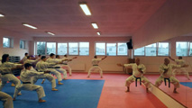 Seminář  kata  Sepai v Jindřichově Hradci