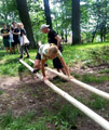 Dětská akce 7 stupňů Shaolinu se povedla Dětská akce 7 stupňů Shaolinu se povedla