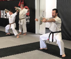 Školení trenérů a seminář karate v Českých Budějovicích Školení trenérů a seminář karate v Českých Budějovicích