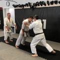 Školení trenérů a seminář karate v Českých Budějovicích Školení trenérů a seminář karate v Českých Budějovicích