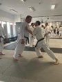 Školení trenérů a seminář karate v Českých Budějovicích