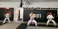 Školení trenérů a seminář karate v Českých Budějovicích