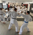 Školení trenérů a seminář karate v Českých Budějovicích