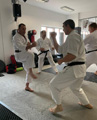 Školení trenérů a seminář karate v Českých Budějovicích