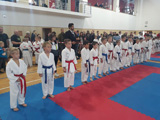 Sportovní úspěchy našich členů Sportovní úspěchy našich členů