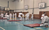Výukový seminář Goeikai karatedo a dětské Budo odpoledne v J. Hradci - listopad 2022 Výukový seminář Goeikai karatedo a dětské Budo odpoledne v J. Hradci - listopad 2022