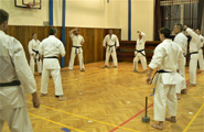 Výukový seminář Goeikai karatedo a dětské Budo odpoledne v J. Hradci - listopad 2022 Výukový seminář Goeikai karatedo a dětské Budo odpoledne v J. Hradci - listopad 2022