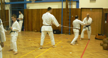 Výukový seminář Goeikai karatedo a dětské Budo odpoledne v J. Hradci - listopad 2022 Výukový seminář Goeikai karatedo a dětské Budo odpoledne v J. Hradci - listopad 2022