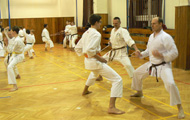 Vánoční trénink Goeikai karate do pro děti i dospělé členy z našeho klubu se povedl Vánoční trénink Goeikai karate do pro děti i dospělé členy z našeho klubu se povedl