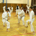 Vánoční trénink Goeikai karate do pro děti i dospělé členy z našeho klubu se povedl Vánoční trénink Goeikai karate do pro děti i dospělé členy z našeho klubu se povedl