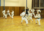 Vánoční trénink Goeikai karate do pro děti i dospělé členy z našeho klubu se povedl Vánoční trénink Goeikai karate do pro děti i dospělé členy z našeho klubu se povedl