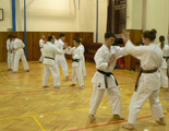 Vánoční trénink Goeikai karate do pro děti i dospělé členy z našeho klubu se povedl Vánoční trénink Goeikai karate do pro děti i dospělé členy z našeho klubu se povedl