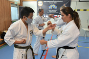 Seminář okinawského Goju-ryu Goeikai ve Švédsku pod vedením Hiroshi Ganahy Senseie 9 Dan Seminář okinawského Goju-ryu Goeikai ve Švédsku pod vedením Hiroshi Ganahy Senseie 9 Dan