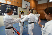 Seminář okinawského Goju-ryu Goeikai ve Švédsku pod vedením Hiroshi Ganahy Senseie 9 Dan Seminář okinawského Goju-ryu Goeikai ve Švédsku pod vedením Hiroshi Ganahy Senseie 9 Dan