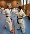 Seminář okinawského Goju-ryu Goeikai ve Švédsku pod vedením Hiroshi Ganahy Senseie 9 Dan Seminář okinawského Goju-ryu Goeikai ve Švédsku pod vedením Hiroshi Ganahy Senseie 9 Dan