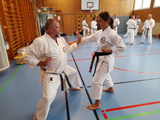 Seminář okinawského Goju-ryu Goeikai ve Švédsku pod vedením Hiroshi Ganahy Senseie 9 Dan Seminář okinawského Goju-ryu Goeikai ve Švédsku pod vedením Hiroshi Ganahy Senseie 9 Dan