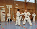Seminář okinawského Goju-ryu Goeikai ve Švédsku pod vedením Hiroshi Ganahy Senseie 9 Dan Seminář okinawského Goju-ryu Goeikai ve Švédsku pod vedením Hiroshi Ganahy Senseie 9 Dan