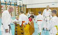 Seminář Okinawa Goju ryu karatedo Goeikai v Jindřichově Hradci Seminář Okinawa Goju ryu karatedo Goeikai v Jindřichově Hradci