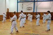 Seminář Okinawa Goju ryu karatedo Goeikai v Jindřichově Hradci Seminář Okinawa Goju ryu karatedo Goeikai v Jindřichově Hradci