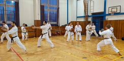 Seminář Okinawa Goju ryu karatedo Goeikai v Jindřichově Hradci Seminář Okinawa Goju ryu karatedo Goeikai v Jindřichově Hradci