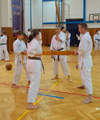 Seminář Okinawa Goju ryu karatedo Goeikai v Jindřichově Hradci Seminář Okinawa Goju ryu karatedo Goeikai v Jindřichově Hradci