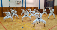 Seminář Okinawa Goju ryu karatedo Goeikai v Jindřichově Hradci Seminář Okinawa Goju ryu karatedo Goeikai v Jindřichově Hradci