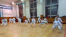 Seminář Okinawa Goju ryu karatedo Goeikai v Jindřichově Hradci Seminář Okinawa Goju ryu karatedo Goeikai v Jindřichově Hradci