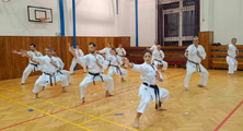 Seminář Okinawa Goju ryu karatedo Goeikai v Jindřichově Hradci Seminář Okinawa Goju ryu karatedo Goeikai v Jindřichově Hradci