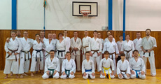 Seminář Okinawa Goju ryu karatedo Goeikai v Jindřichově Hradci Seminář Okinawa Goju ryu karatedo Goeikai v Jindřichově Hradci