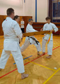 Seminář Okinawa Goju ryu karatedo Goeikai v Jindřichově Hradci Seminář Okinawa Goju ryu karatedo Goeikai v Jindřichově Hradci