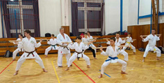 Seminář Okinawa Goju ryu karatedo Goeikai v Jindřichově Hradci Seminář Okinawa Goju ryu karatedo Goeikai v Jindřichově Hradci