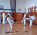 Dětská akce a seminář Okinawa Gojuryu karatedo Goeikai v J. Hradci Dětská akce a seminář Okinawa Gojuryu karatedo Goeikai v J. Hradci