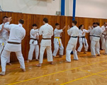 Dětská akce a seminář Okinawa Gojuryu karatedo Goeikai v J. Hradci Dětská akce a seminář Okinawa Gojuryu karatedo Goeikai v J. Hradci