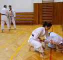 Dětská akce a seminář Okinawa Gojuryu karatedo Goeikai v J. Hradci Dětská akce a seminář Okinawa Gojuryu karatedo Goeikai v J. Hradci