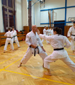 Dětská akce a seminář Okinawa Gojuryu karatedo Goeikai v J. Hradci Dětská akce a seminář Okinawa Gojuryu karatedo Goeikai v J. Hradci